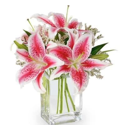 Pink stargazer lilies in a clear glass vase