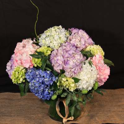 SEAMLESSLY ELEGANT HYDRANGEA