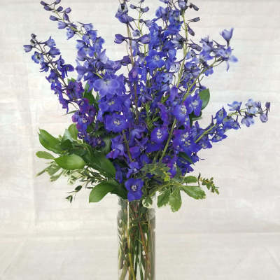 Tall blue delphinium arrangement in a clear glass vase