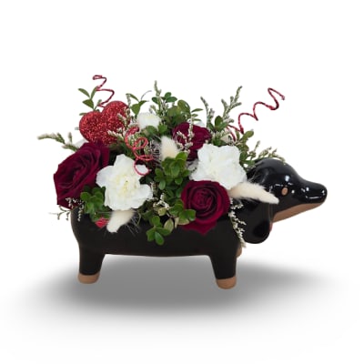 Red and white roses arranged in a black dachshund planter