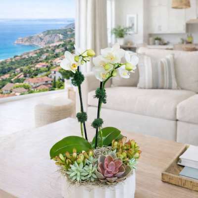 Succulent arrangement with white orchids in a white ceramic pot
