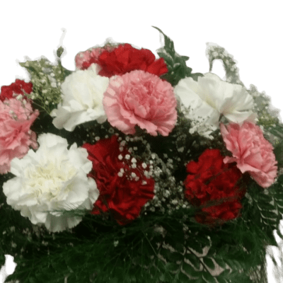 Arrangement of red, pink, and white carnations with baby's breath