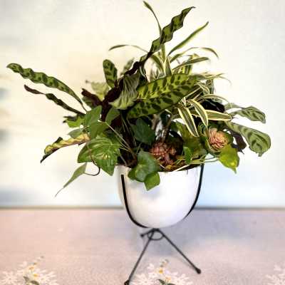 Potted tropical plant arrangement in a white stand planter