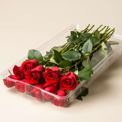 Red roses in a clear plastic box on a light beige background