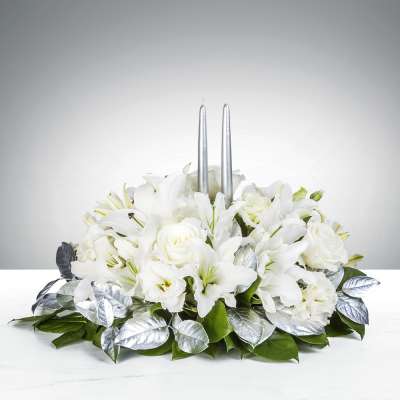 Burning Questions By BloomNation™