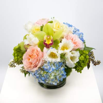 Pastel arrangement of pink roses, white fringed tulips, green orchids, and blue hydrangeas in a glass vase