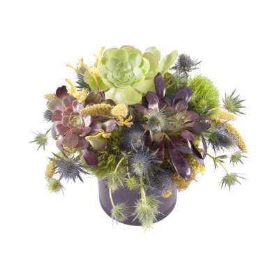Succulent arrangement in a dark pot with spiky blue thistle accents