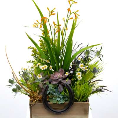 Succulent and wildflower arrangement in a wooden box with a horseshoe handle