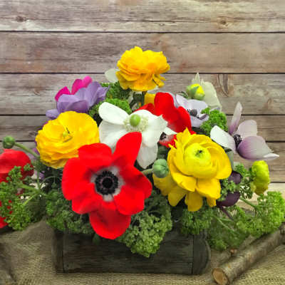 Bright mixed bouquet with red, yellow, white, and purple flowers
