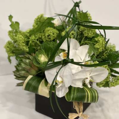 White orchids and green flowers in a black box arrangement
