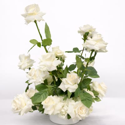 White roses arranged in a low white container
