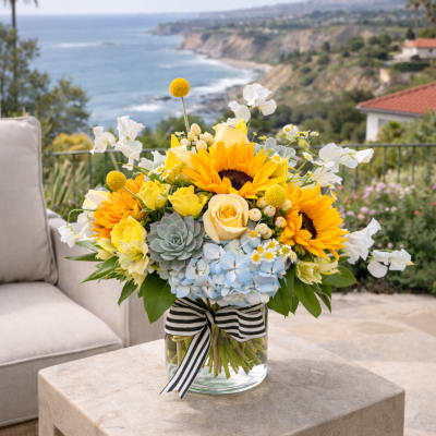 Sunshine on the Coast