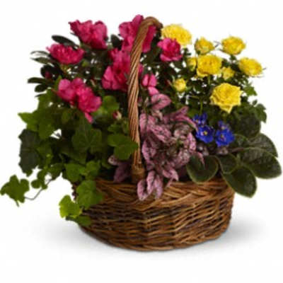 Basket of pink and yellow flowers with purple accents