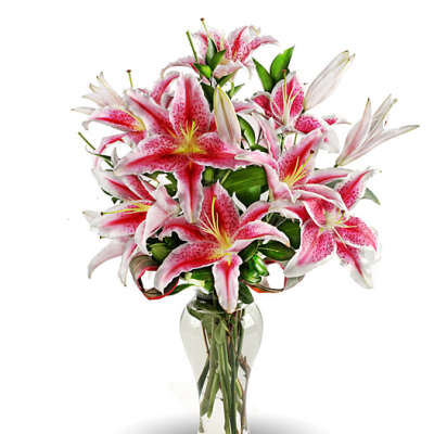 Pink stargazer lilies arranged in a clear glass vase