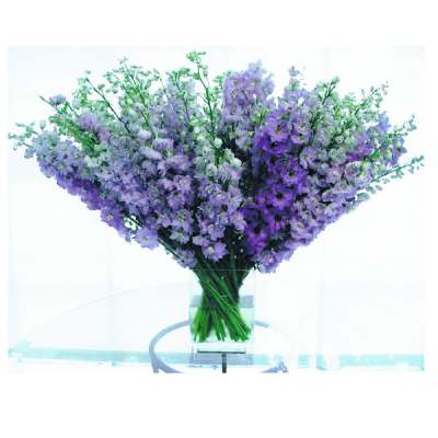 Bright Blue Sky, St Augustine Florist Delivery