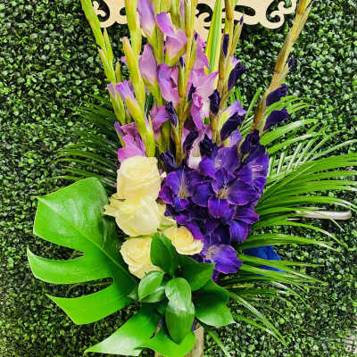 Purple Pleasures Gladiolus