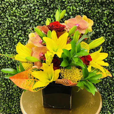 Tropical Lily Garden