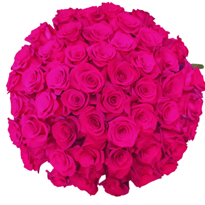 The Luxe Romance - 50 Long-Stem Pink Roses by Donya's Florals