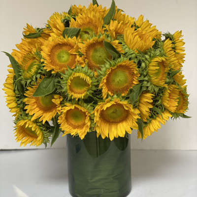 UKRAINE "THE SUNFLOWER"