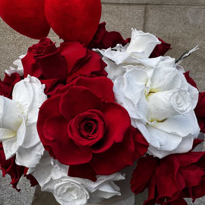 Stunning preserved Red & White mixed roses!