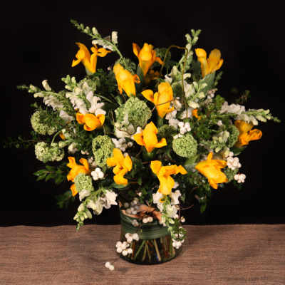 ICY CHARTREUSE DESIGN