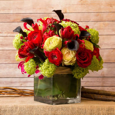 MIX SPRING ARRANGEMENT