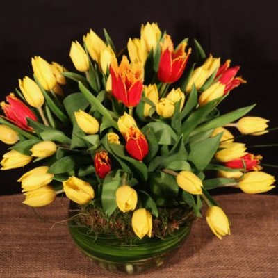 Bowl of Tulips