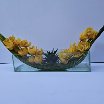 Yellow orchids arranged in a curved glass vase