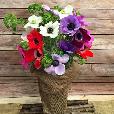 Colorful bouquet of anemone-like flowers in a burlap-wrapped vase