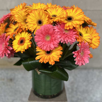Pink and orange gerbera daisies in a green vase