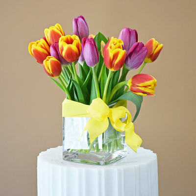 Colorful tulips in a clear glass vase with a yellow ribbon