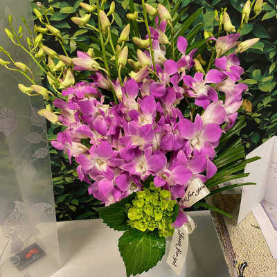 Purple orchids arranged in a white vase with a green hydrangea accent