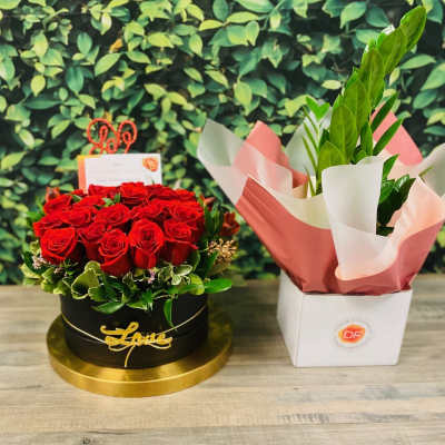 Bloomsical Box with Breathe Easy Plant and Personalized Card