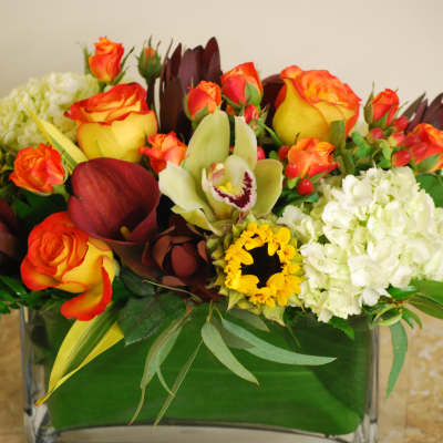 Cheerful Centerpiece by Donya's Florals, St Augustine