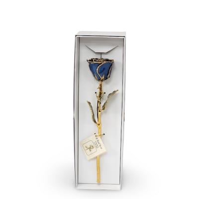 Preserved Navy Blue 24KT Gold Rose