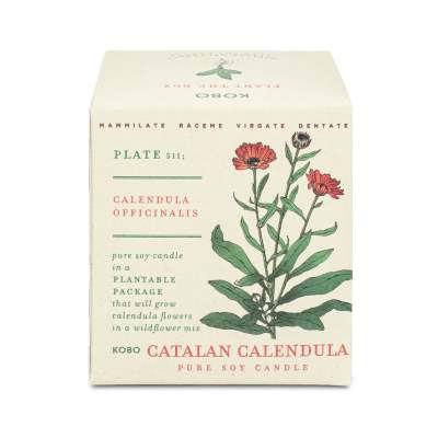 Boxed soy candle with botanical calendula illustration