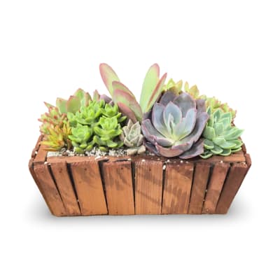 Large Wooden Succulent Planter