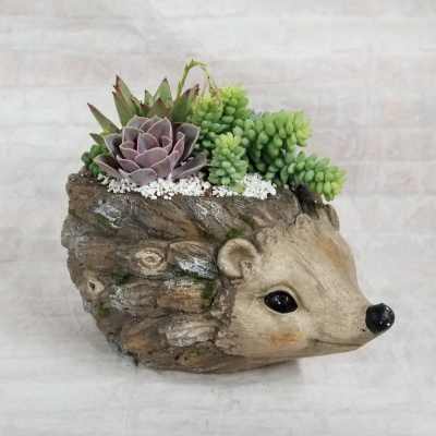 Round Hedgehog Succulent Planter