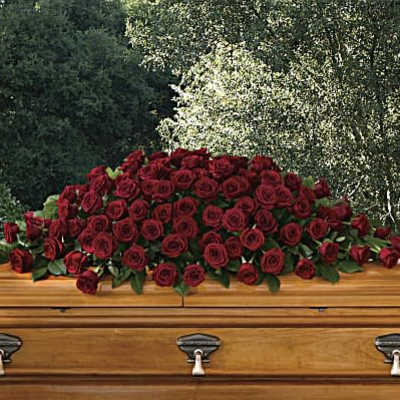 Large spray of dark red roses arranged on top of a wooden casket outdoors