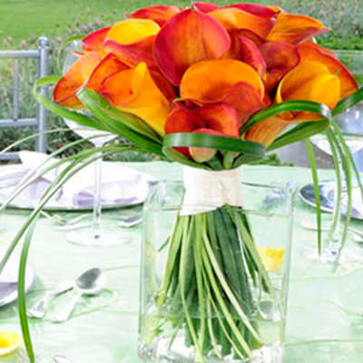 Sunset Callas by Donya's Florals, St Augustine