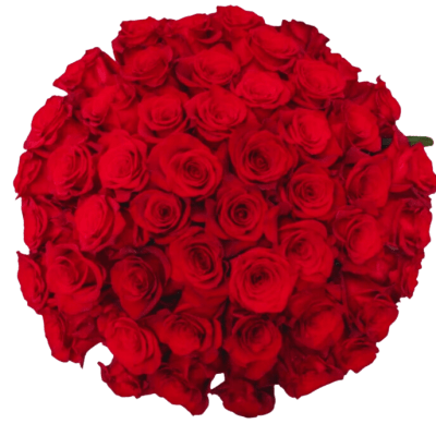 The Luxe Romance - 50 Long-Stem Red Roses by Donya's Florals