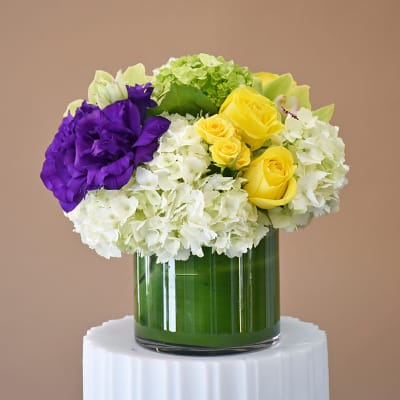 Modern Choice - W625