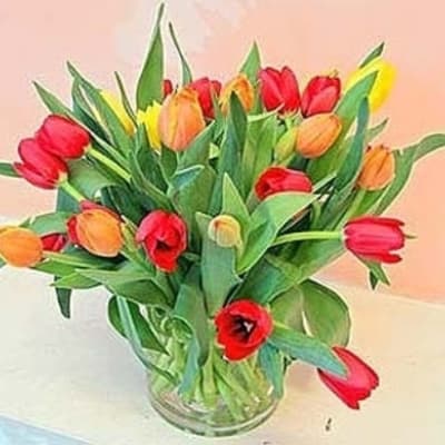 Lovely Tulips | Premium Flower Delivery in San Francisco