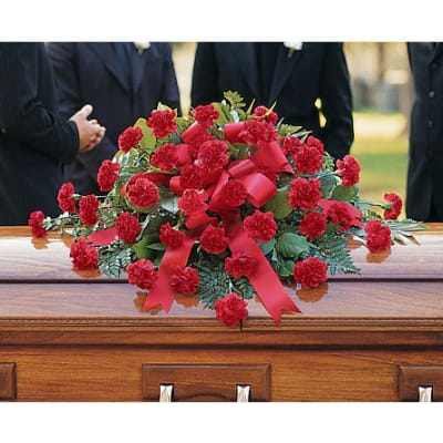 Red carnation casket spray with ribbon on a wooden coffin