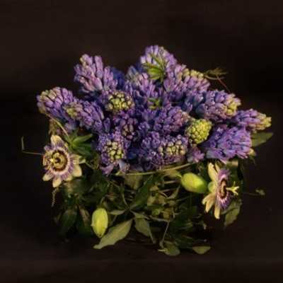 Hyacinth Arrangement