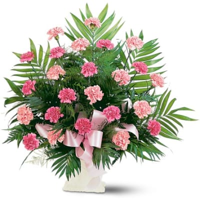 Pink carnations in a white vase with a pink ribbon