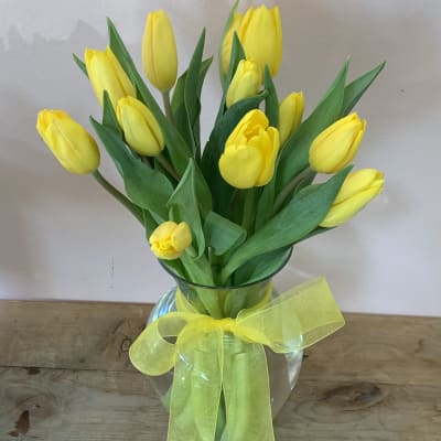 10 Yellow Tulips - W803