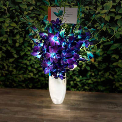 Purple and blue orchid arrangement in a white vase