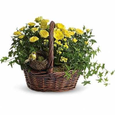 Yellow Trio Basket