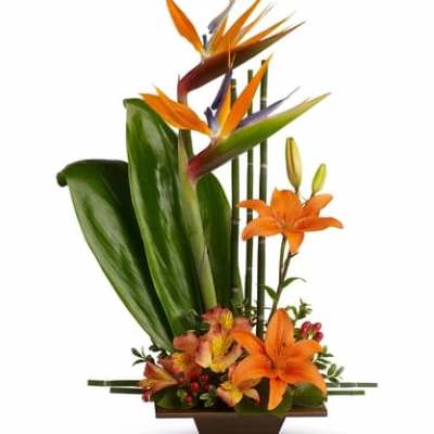 Orange bird of paradise and lilies in a rectangular vase